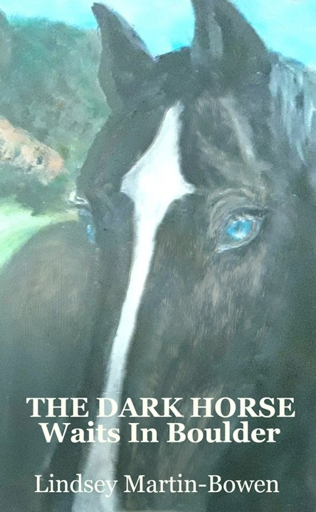 Cover of The Dark Horse Waits in Boulder by Lindsey Martin-Bowen, featuring a black stallion with one striking blue eye
